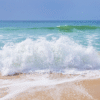 Salt Water Tolerance